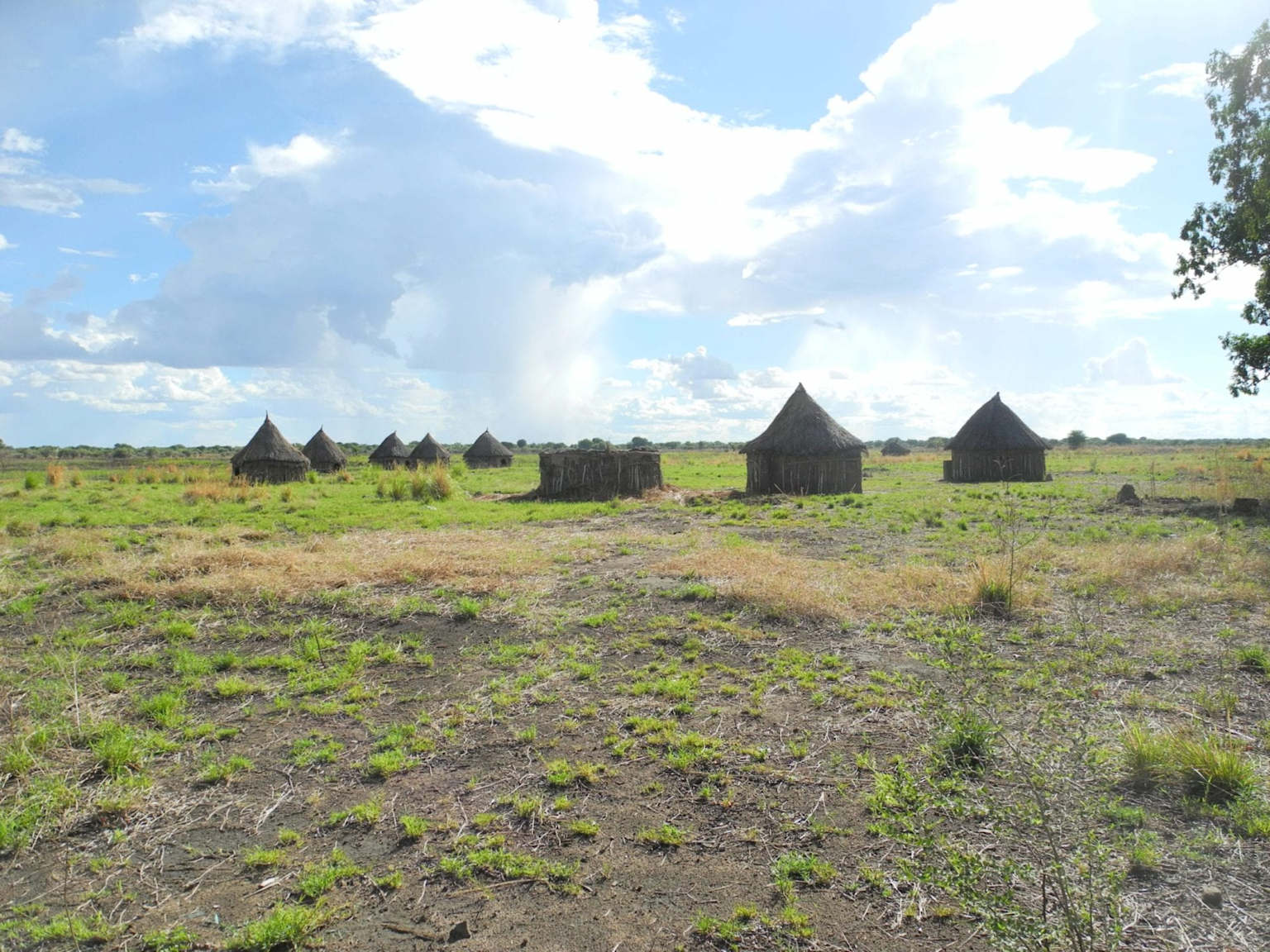 Traditional indigenous huts in a rural African landscape illustrating indigenous community living conditions